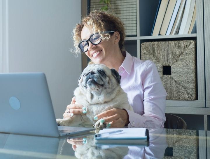 Barnesville Animal Clinic Veterinarians